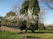 Acquisto vendita terreno Lescure D Albigeois