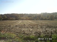 Immobiliare Caupenne D Armagnac