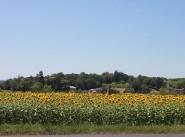 Terreno Senouillac